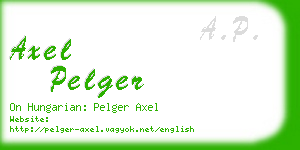 axel pelger business card